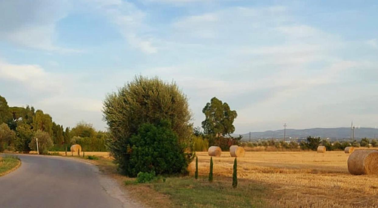 Il Cantuccio Cascina Buitenkant foto