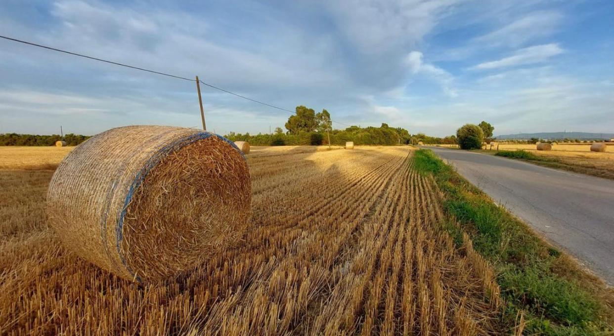 Il Cantuccio Cascina Buitenkant foto