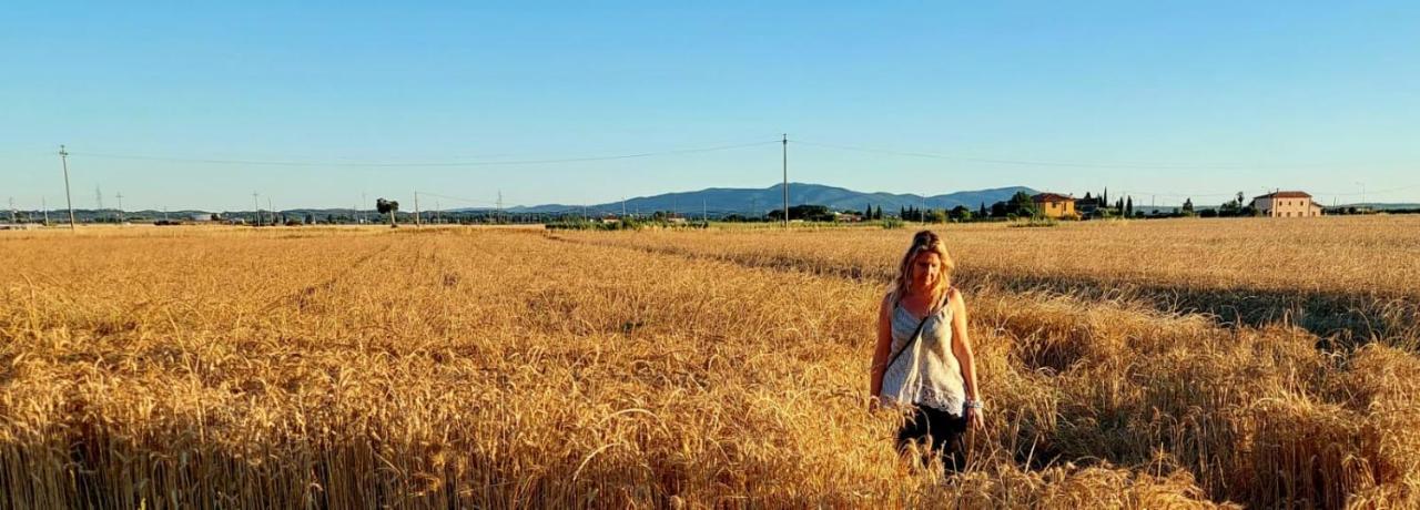 Il Cantuccio Cascina Buitenkant foto